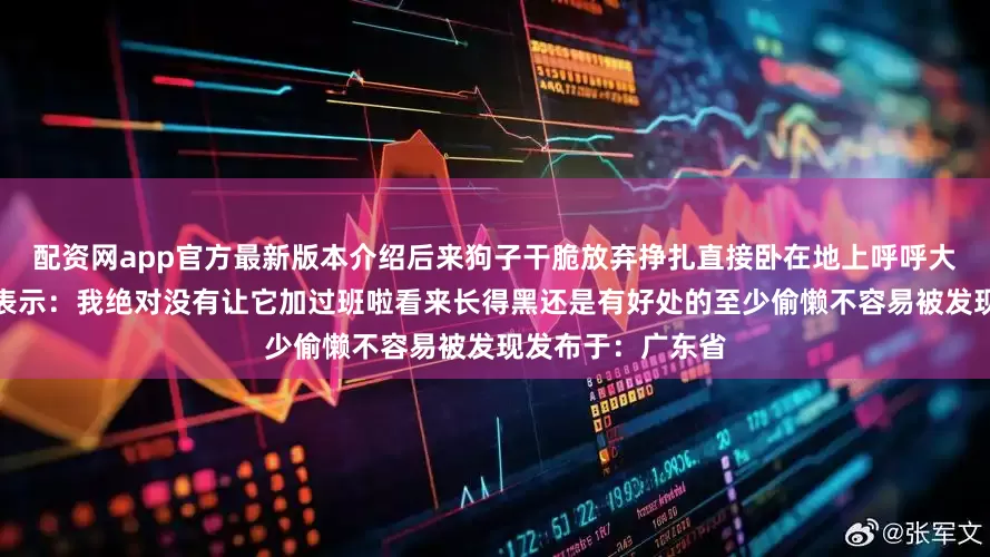 配资网app官方最新版本介绍后来狗子干脆放弃挣扎直接卧在地上呼呼大睡老板也很逗的表示：我绝对没有让它加过班啦看来长得黑还是有好处的至少偷懒不容易被发现发布于：广东省